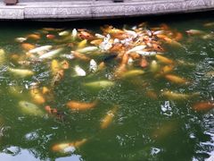 -荆川公园