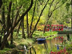 -上海共青森林公园