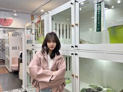 -青奢宠物·青奢猫舍