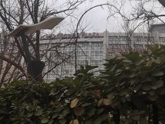 -临空皇冠假日酒店-西餐厅(首都机场店)