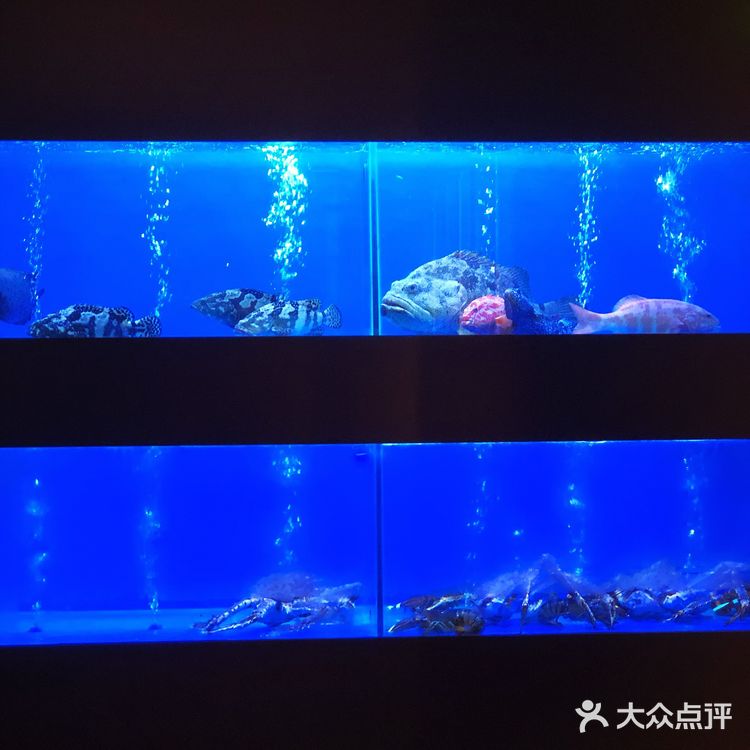 约会聚餐重点推荐