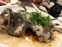 清蒸青斑-北海渔村酒楼·粤菜海鲜点心(新华店)