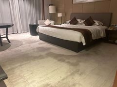 -河源万绿湖美思威尔顿酒店