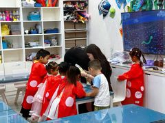 -蕃茄田艺术•美术绘画 •硬笔书法(滨江海威领界店)