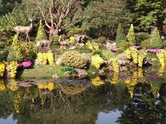 -杭州植物园