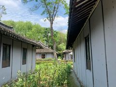 -金山农民画村-枫泾波兰倒置屋