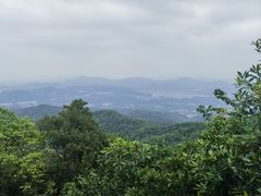 -广州市帽峰山景区