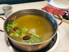 草本清汤锅-菌子鲜汤野生菌锅