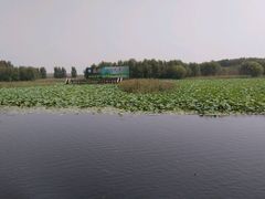 -微山湖红荷湿地景区