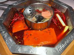 双人锅鸳鸯-蜀九香火锅(九眼桥店)