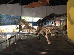 -湖南省地质博物馆