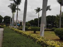 -古榕公园