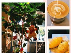 -Infica Coffee