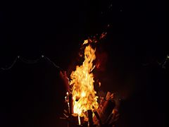 -前小桔亲子创意农场·草莓采摘·露营烧烤