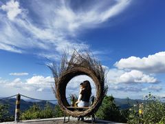 -武陵山森林公园