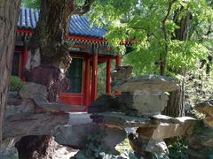 -北京动物园-畅观楼