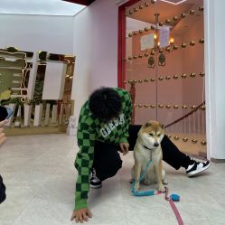 -童门舞蹈站