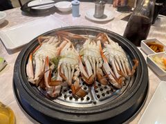 -越百海海鲜蒸锅(乐山店)