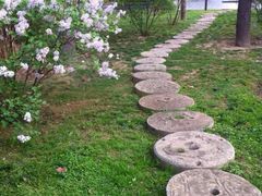 -木塔寺遗址生态公园