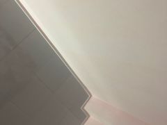 -813芭依珊 BAESAn(皇冠十畝地店)