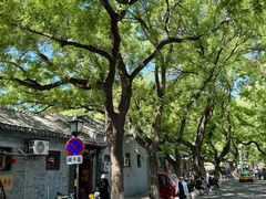 -北京国子监胡同