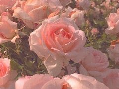 -庆赫隆融合菜馆(群力店)