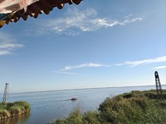 -哈素海