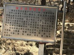 -保定市动物园