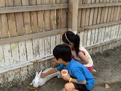 -水上乐园·欢乐世界