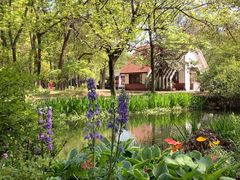 -上海共青森林公园