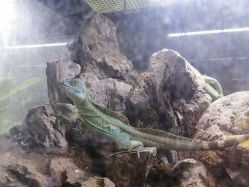 -Zoolung Zoolung动物主题公园(海信广场店)