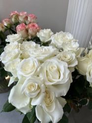 -美愈美肤MEIYU SKIN