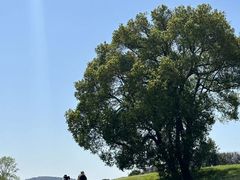 -良渚古城遗址公园