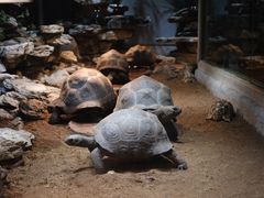 -杭州野生动物世界