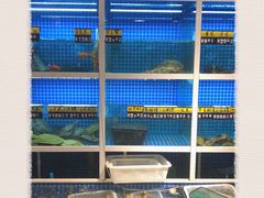 水产区-金龙·打边炉(南京西路店)