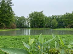 -桤木河湿地公园