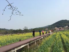 -红山村