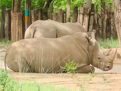 -北京野生动物园