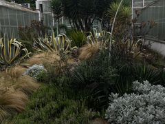 -昆明植物园