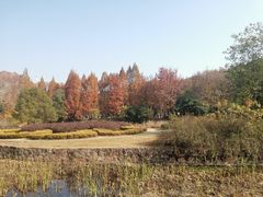 -蠡湖中央公园