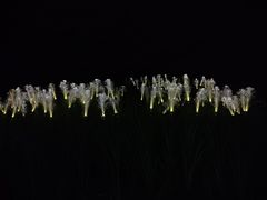 -地心探险极地