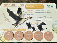 -海珠湖公园