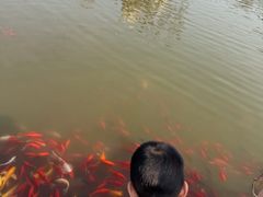 -狼山风景名胜区