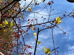 -元大都城垣遗址公园