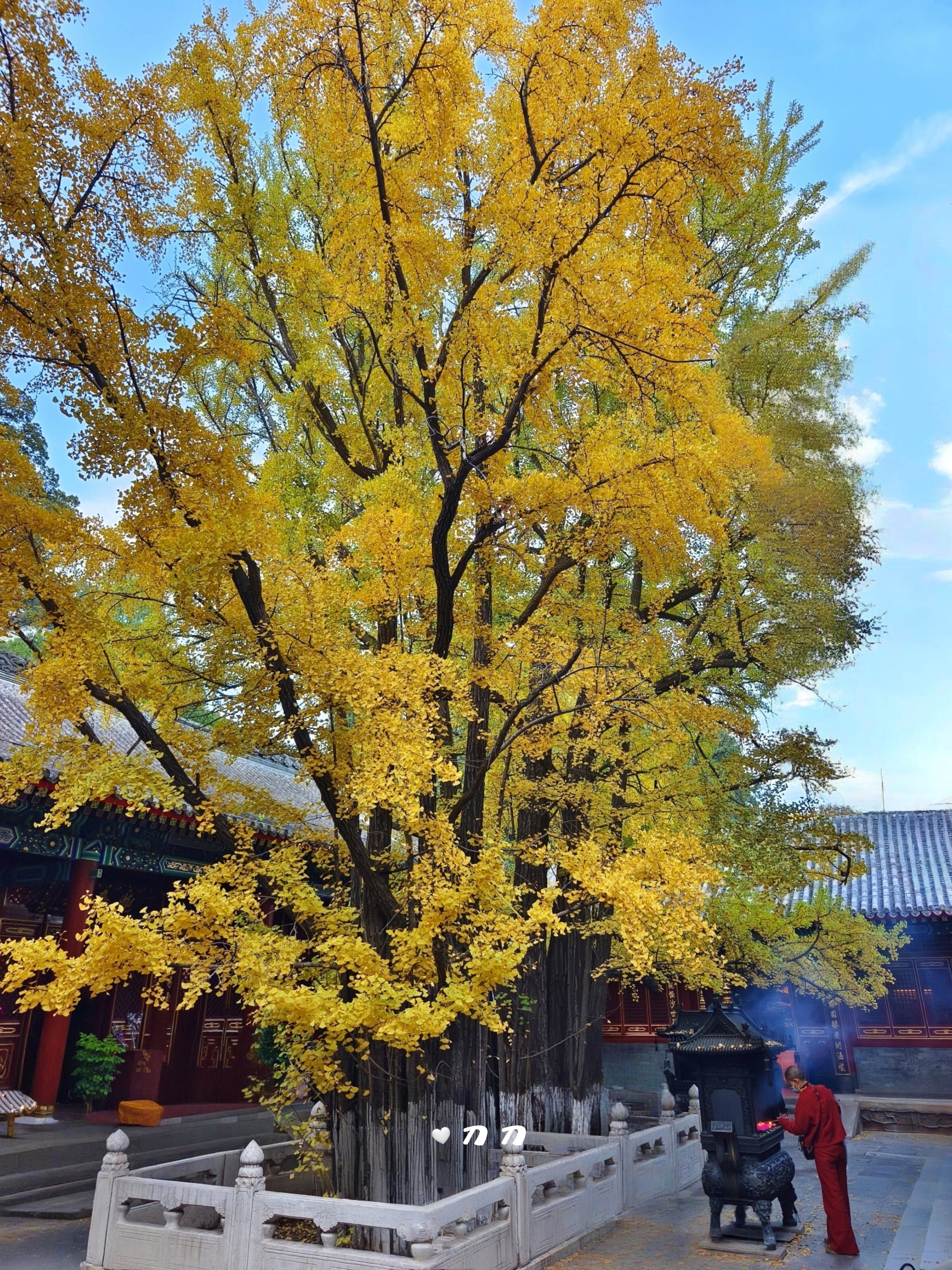 八大处大悲寺图片