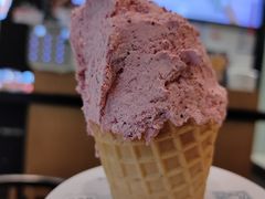 -野人先生现做冰淇淋(北京环宇荟店)
