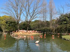 -上海野生动物园