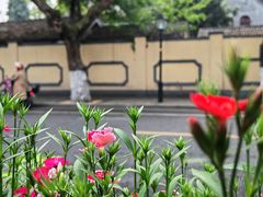 -颐和路民国时期公馆风貌区