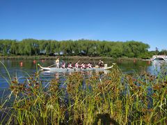 -大兴滨河森林公园