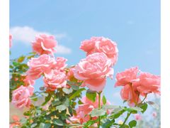 -怪石滩
